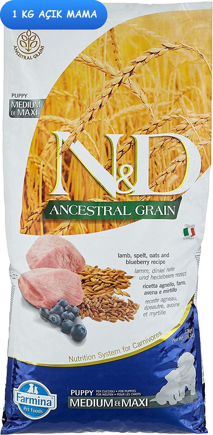 N&D Ancestral Grain Kuzu Etli ve Yaban Mersinli Büyük ve Orta Irk Yavru Kuru Köpek Maması 1 kg