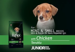 Reflex Plus+ Tavuklu Küçük Irk Yavru Kuru Köpek Maması 4x3 kg