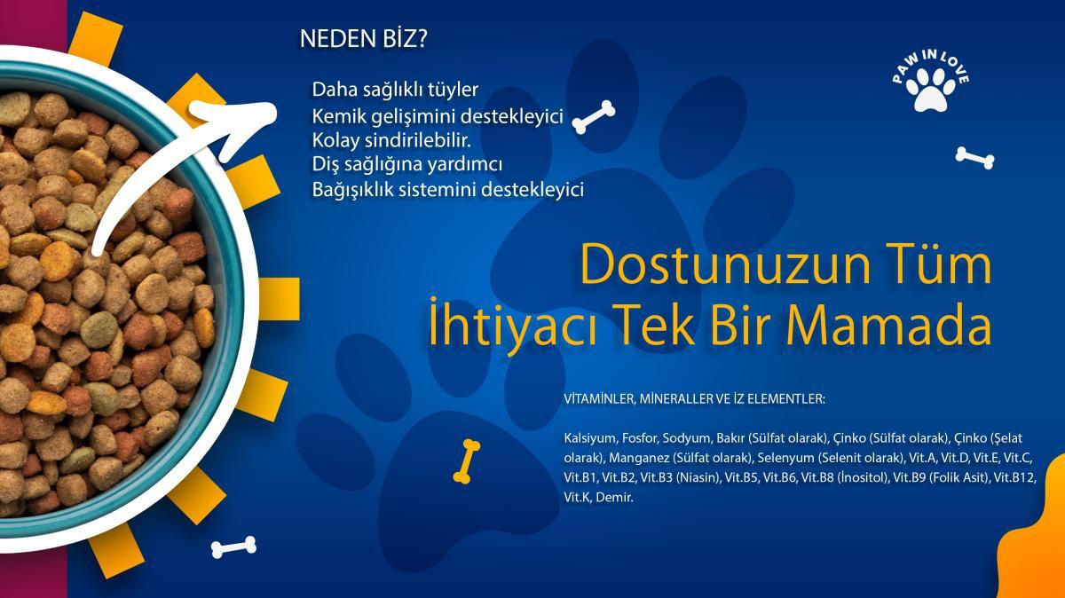 Pro Dog Premium Somonlu Tüm Irklar Yetişkin Kuru Köpek Maması 3x15 kg