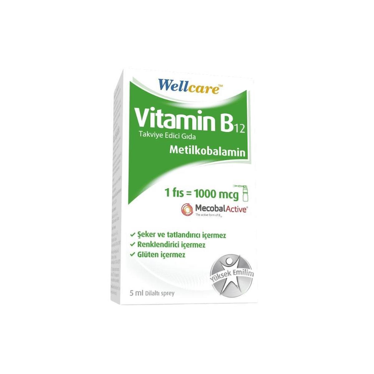 Wellcare 1000 mcg Vitamin B12 Sade Unisex 5 ml