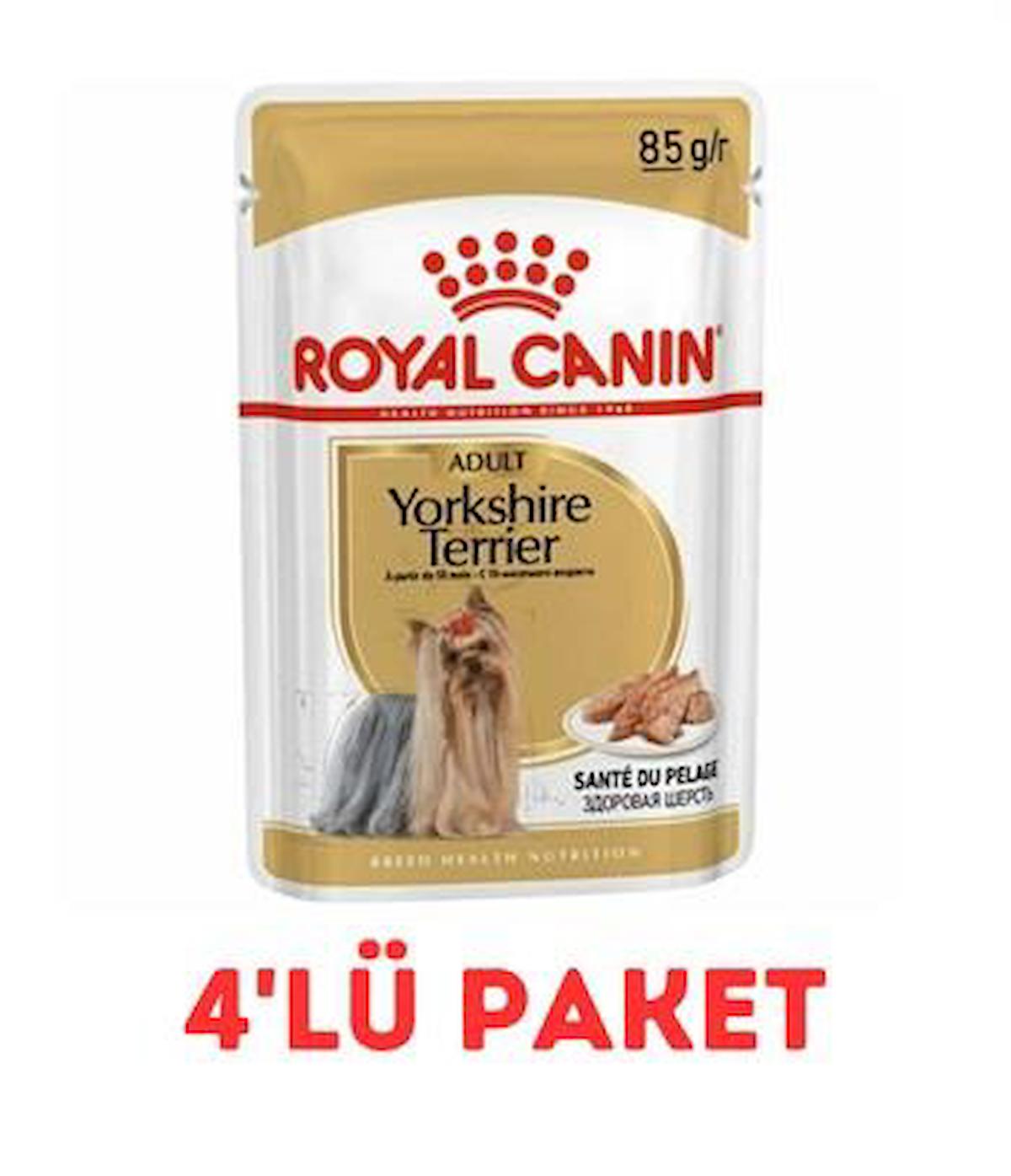 Royal Canin Breed Health Nutrition Yorkshire Yetişkin Yaş Köpek Maması 85 gr 4'lü