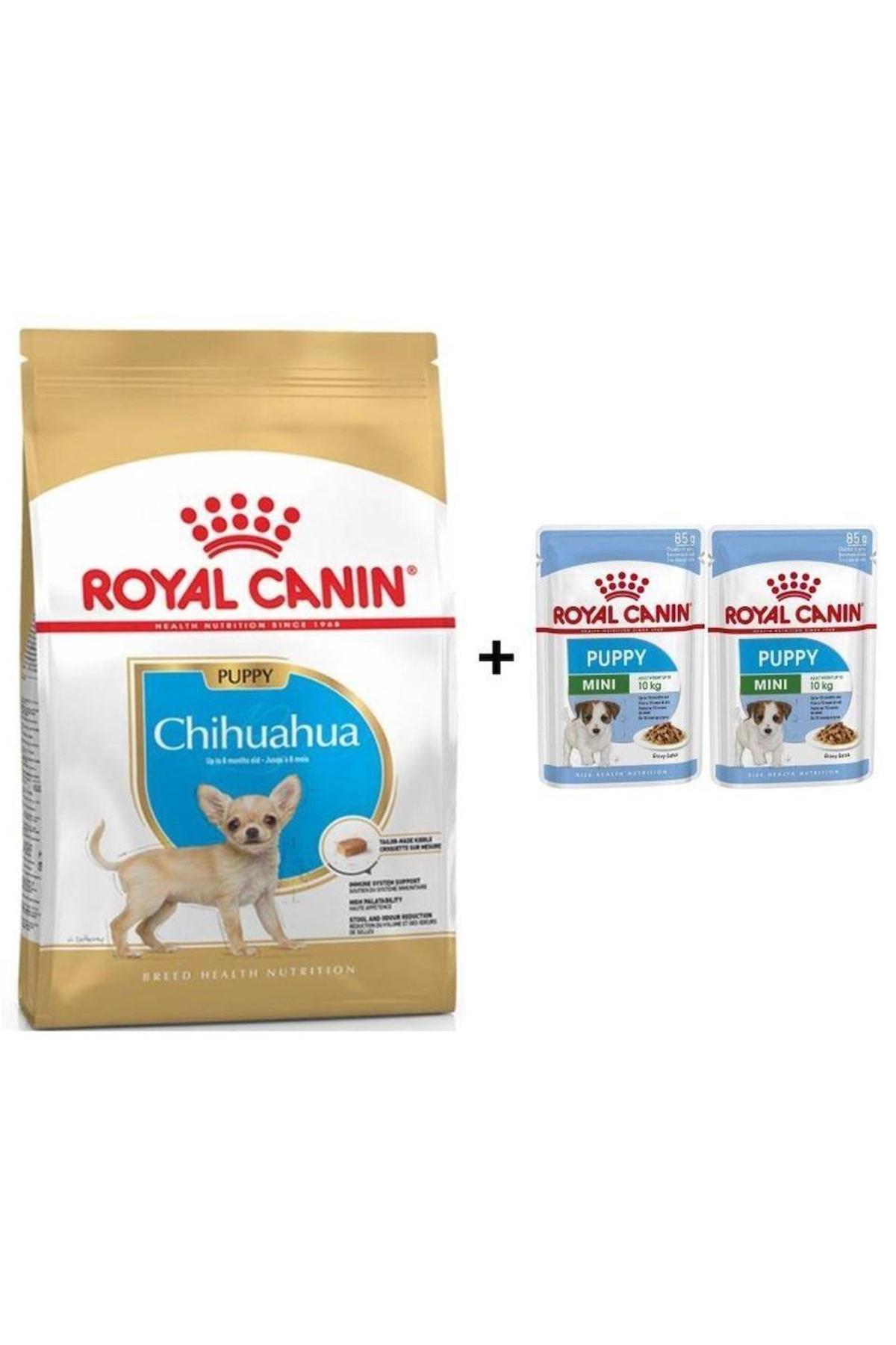 Royal Canin Breed Health Nutrition Chihuahua Yavru Yaş Köpek Maması 1.5 kg Tekli