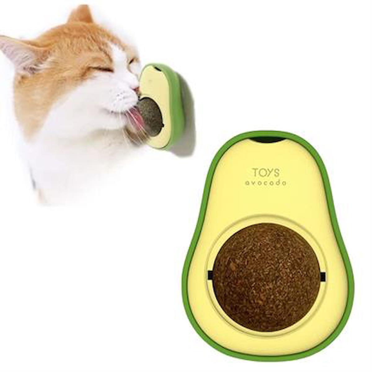 Buffer Kedi Otlu Aktivite Yavru-Yetişkin Aktivite Kedi Oyuncağı