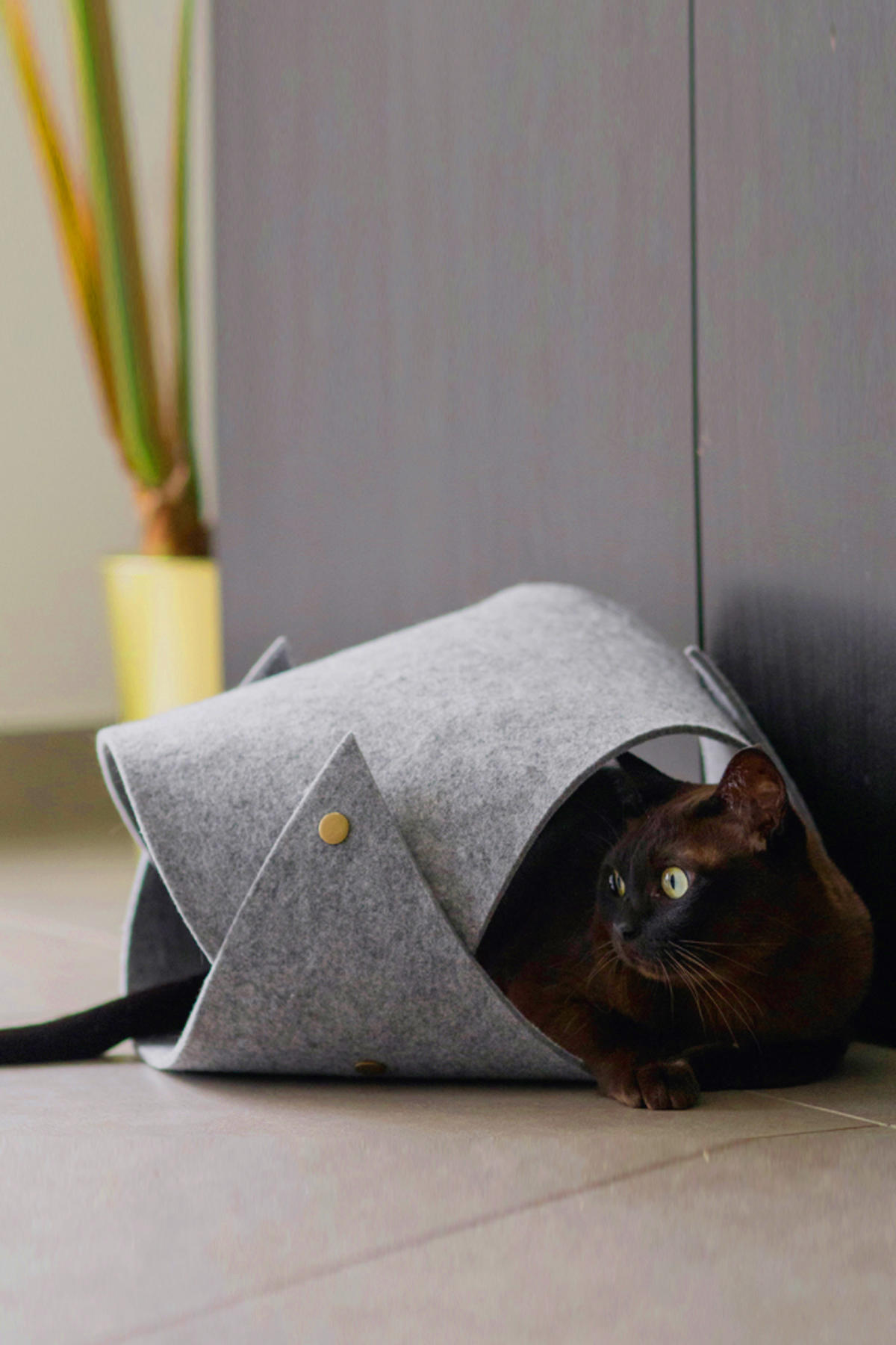 Toby Tırmalama Yavru-Yetişkin Kedi Tüneli Kedi Oyuncağı