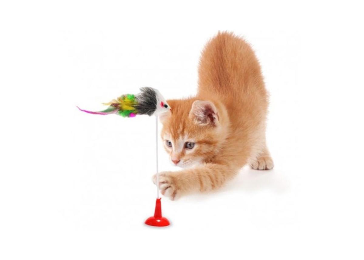 Evosed Vantuzlu Yakalama Yavru-Yetişkin Fare Kedi Oyuncağı