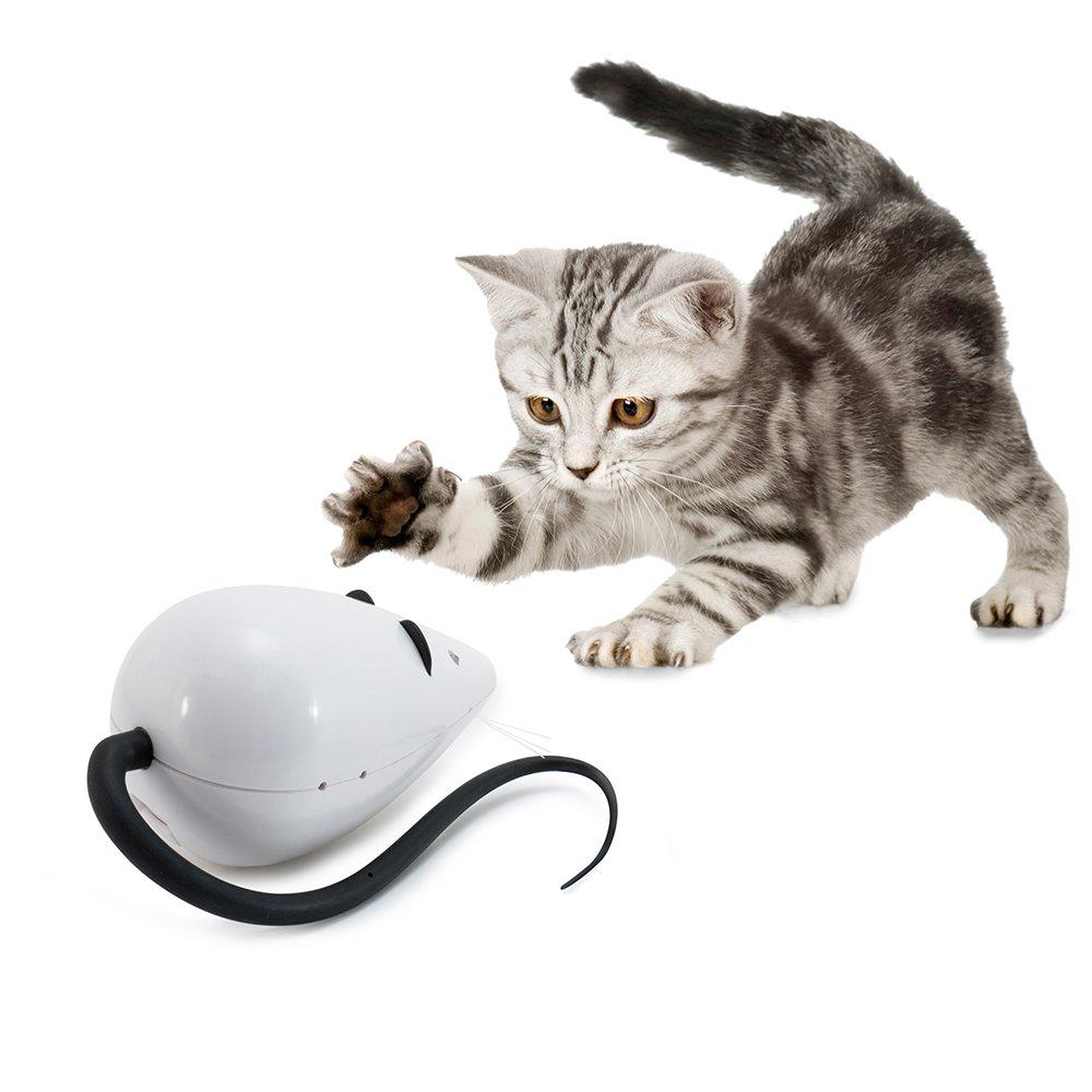 Petsafe PTY19-16224 Isırma Yavru-Yetişkin Fare Kedi Oyuncağı