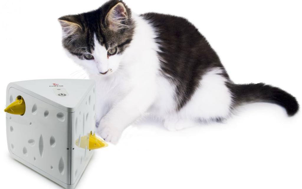 Petsafe Cheese Isırma Yavru-Yetişkin Peynir Kedi Oyuncağı