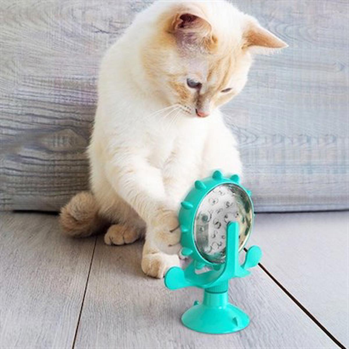 Buffer Vantuzlu Aktivite Yavru-Yetişkin Aktivite Kedi Oyuncağı