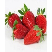 Mert Tarım 5 Adet Sweet Charlie Çilek Fidesi Fidanı Açık Köklü Yediveren