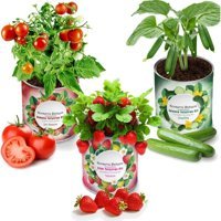 Konserve Bahçem Çilek + Salatalık + Domates 3'lü Yetiştirme Kiti