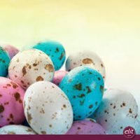 Elit Chocoeggy Fındık Çikolata 500 gr 3 Adet
