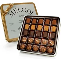 Melodi Çikolata Karışık Çikolata 250 gr
