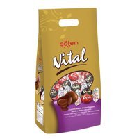 Şölen Vital Sütlü Çikolata 300 gr