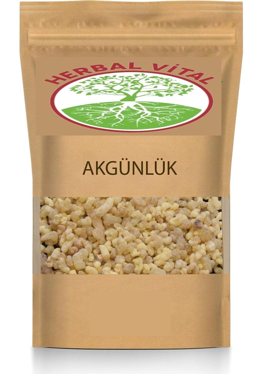 Herbal Vital Doğal Günlük Sakızı Tane 225 gr