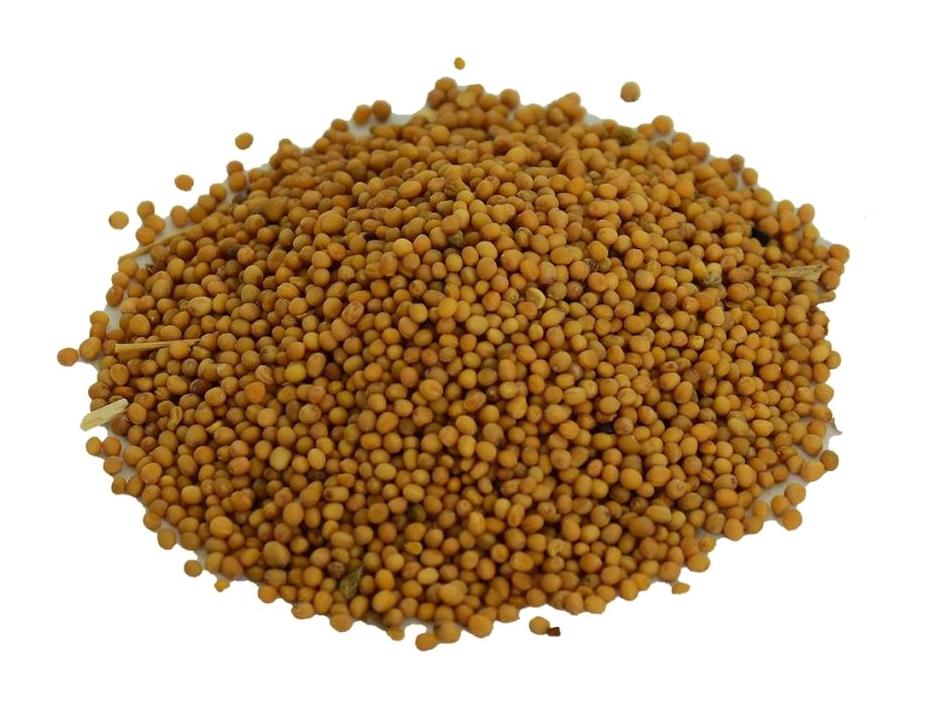 Lokman Avm Baharat Sarı Hardal Tane 100 gr