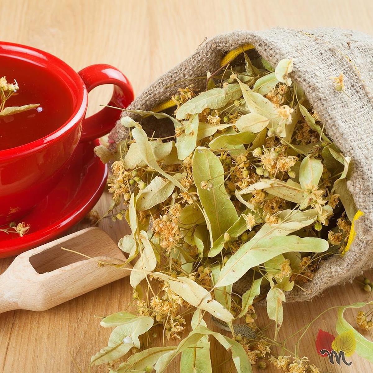 Gültekin Peynircilik Vegan Yaprak Ihlamur 1 kg