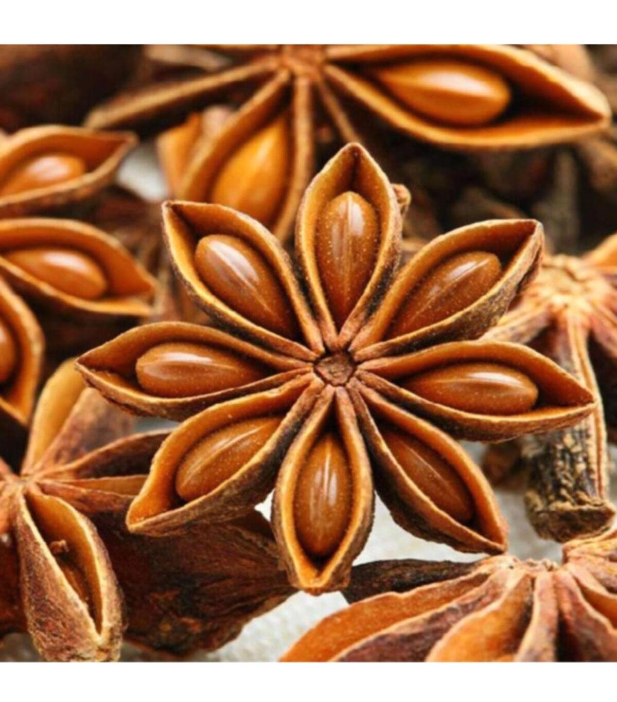 Aktarcınız Vegan Anason Tane 100 gr