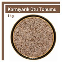 Tos The Organic Spices Glutensiz Karnıyarık Otu Tohumu Tane 1 kg