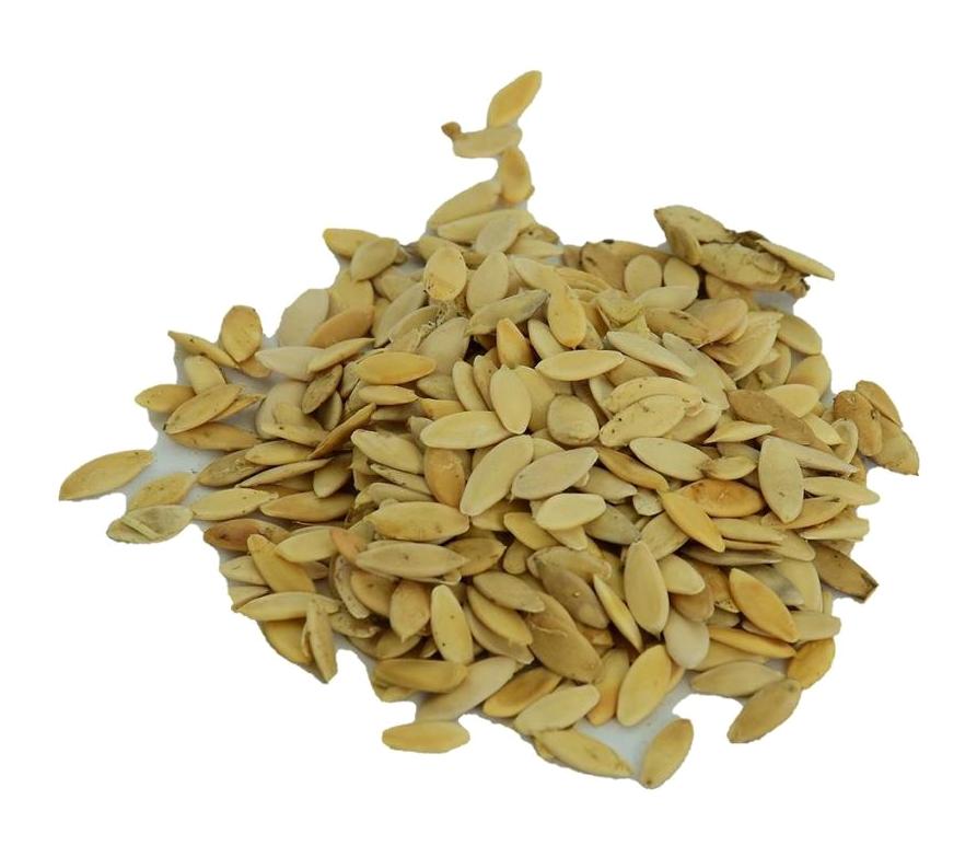 Lokman Avm Doğal Salatalık Tohumu Tane 100 gr