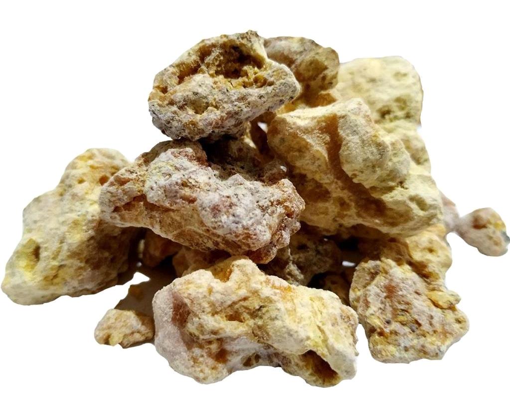 Lokman Avm Vegan Çam Sakızı Tane 100 gr