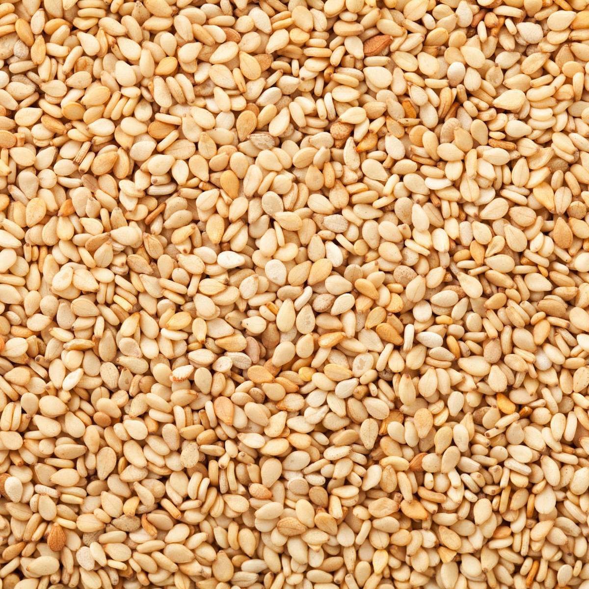 Özdamak Şekerleme Vegan Susam Toz 250 gr