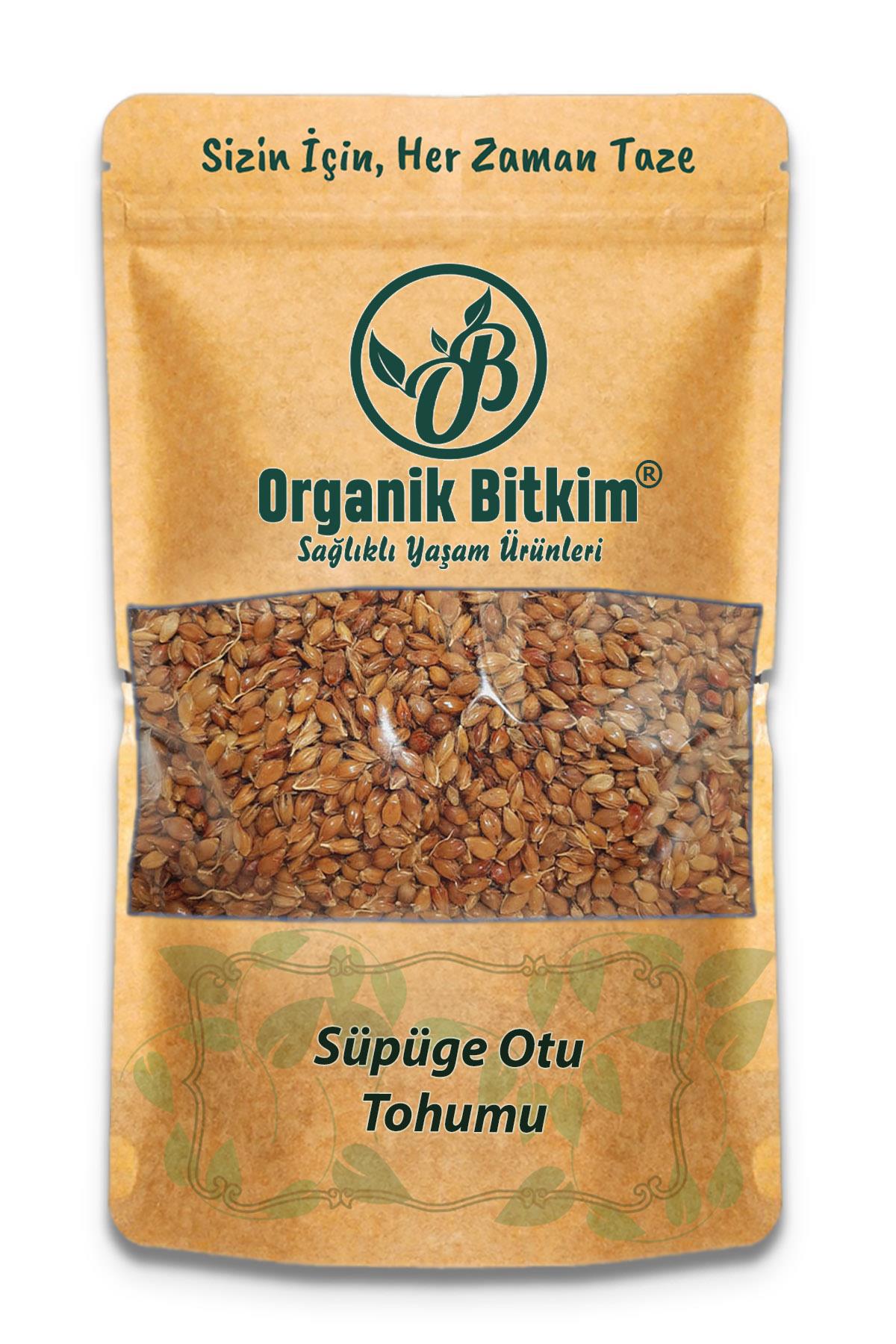 Organik Bitkim Glutensiz Süpürge Otu Tohumu Tane 500 gr