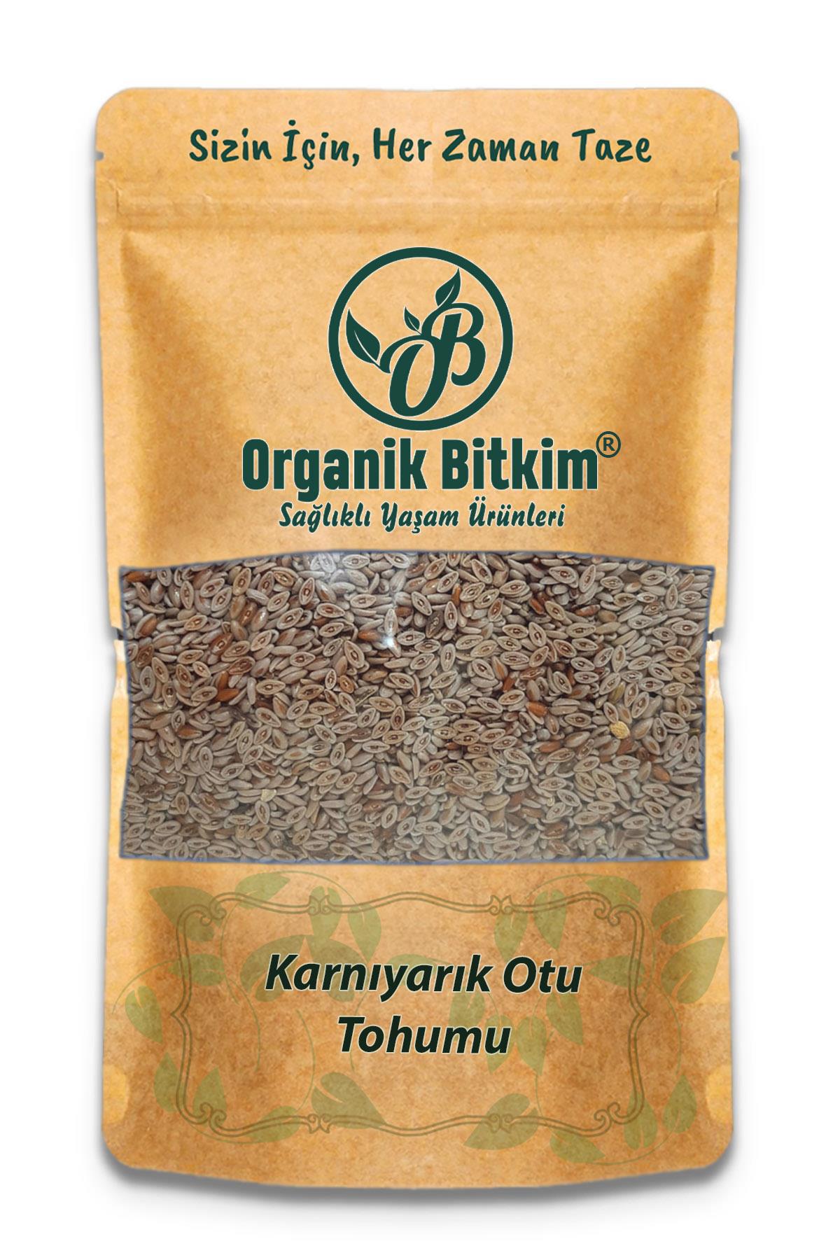 Organik Bitkim Glutensiz Karnıyarık Tohumu Tane 500 gr