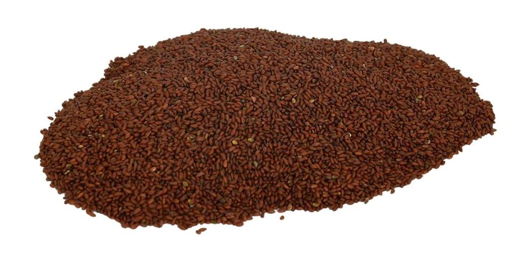 Lokman Avm Doğal Tere Toz 100 gr