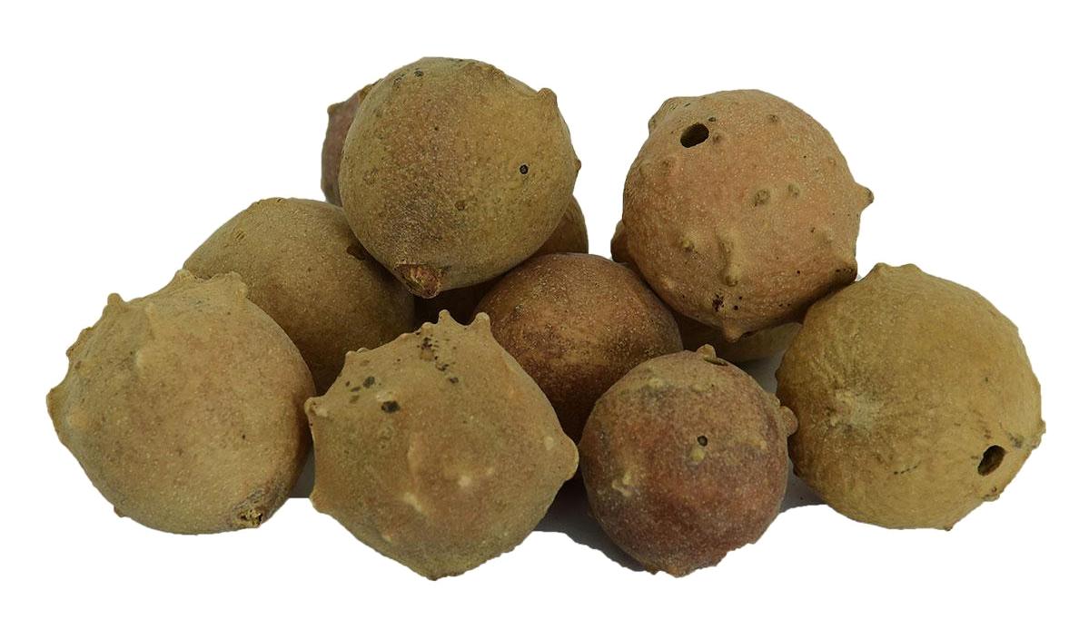 Lokman Avm Doğal Mazı Meyve Kozalağı Tane 100 gr