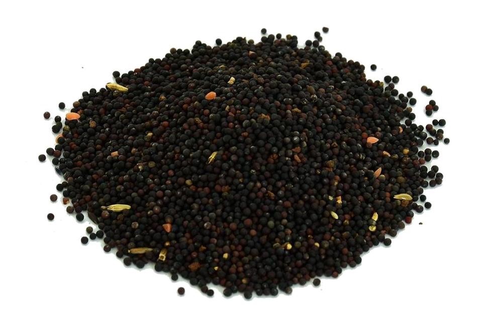 Lokman Avm Doğal Siyah Hardal Tane 100 gr