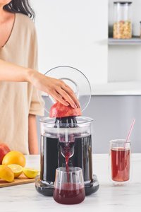 Homend Vitamillion 2604H Narenciye Sıkacağı Siyah