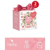 Herby Çilek - Gül Aromalı Bitki Çayı 2 x 40 adet 2 gr
