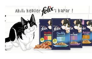 Felix Karışık Yavru - Yetişkin Yaş Kedi Maması 20x85 gr