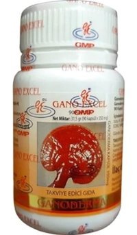 Ganoexcel Ganoderma 90 Kapsül