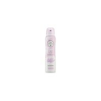 Bee Beauty Floral Sprey Kadın Deodorant 2x150 ml