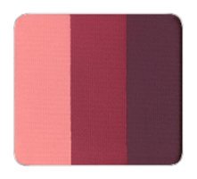 Inglot Freedom System Rainbow 148 Toz Mat Far Paleti Çok Renkli