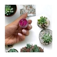 Lady Beauty Toz Glitter Tekli Far Pembe