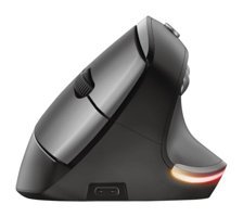 Trust 22410 Kablosuz Siyah Mouse