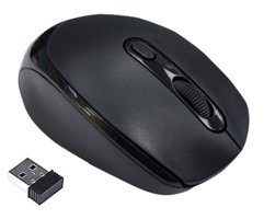 Raynox RX-M201 Kablosuz Siyah Optik Mouse