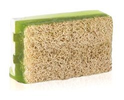 Omorphia Organik Kabak Lifli-Yosun Sabun 100 gr