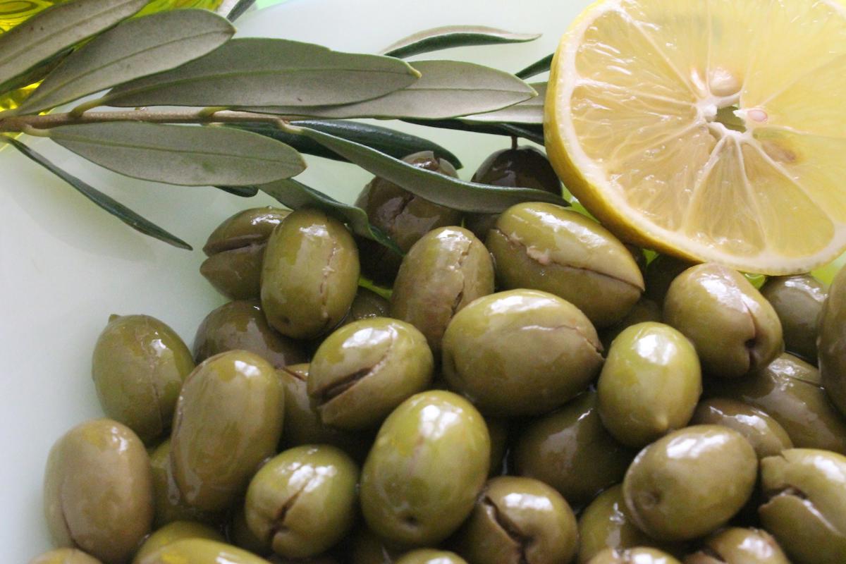 Alioğlu Tüplü Organik 1 Adet Yeşil Zeytin Fidesi