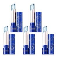 Lesvip'S Kalıcı Parlak Krem Lipstick Ruj 5'li