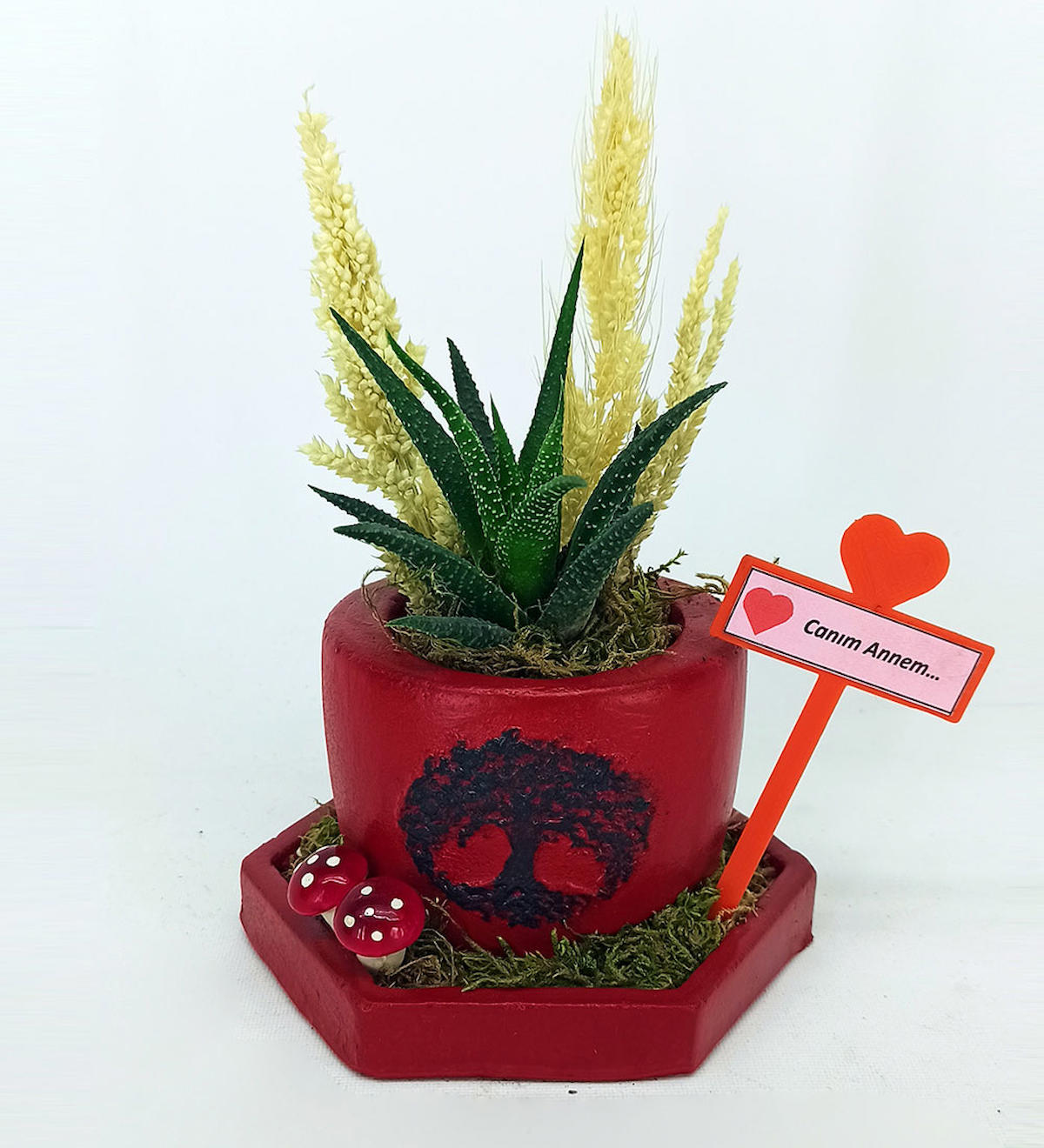 CraftMaket Seramik Yuvarlak Kaktüs Saksı Kırmızı
