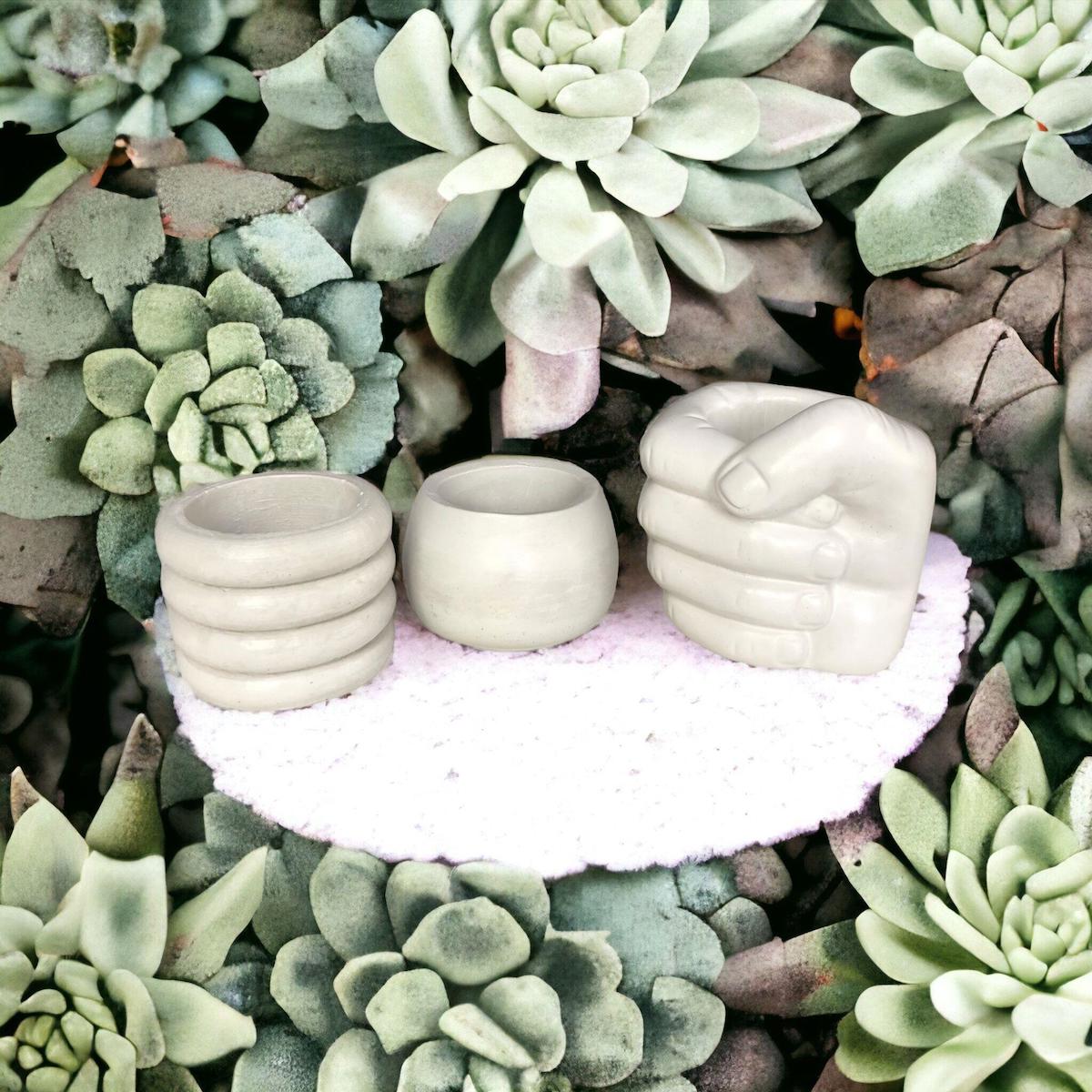 Cococraft Beton Yuvarlak Kaktüs Saksı Gri 3'lü