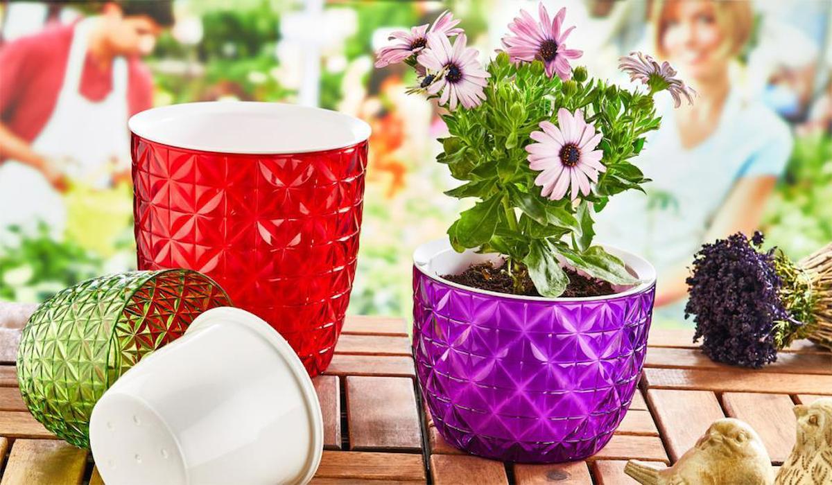 Okyanus Yonca 1.5 lt Plastik Yuvarlak Saksı Çok Renkli