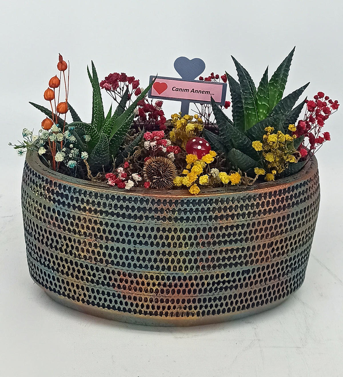 CraftMaket Seramik Oval Kaktüs Saksı Çok Renkli