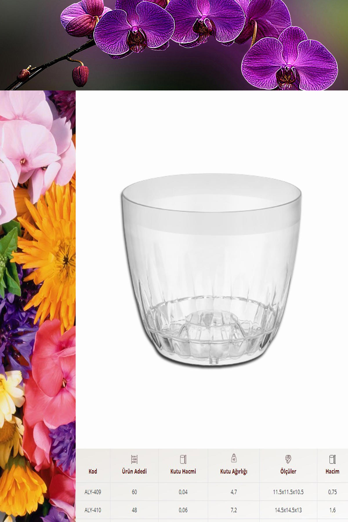 Montesev Plastik 750 ml Yuvarlak Orkide Saksı Şeffaf