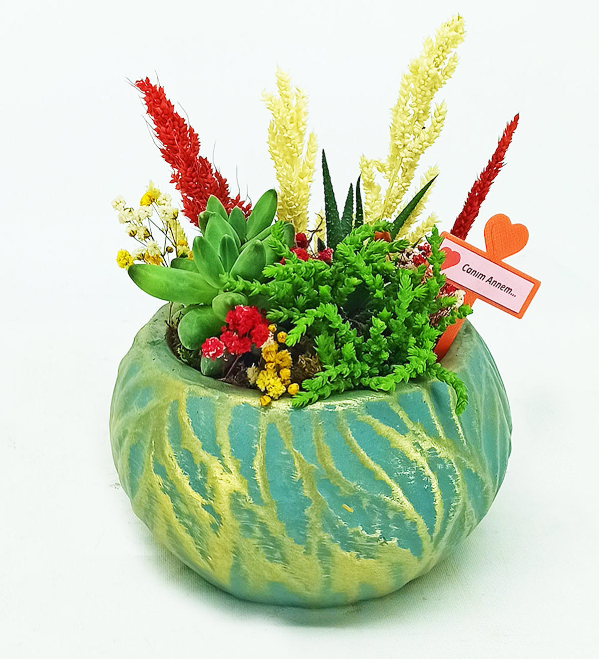 CraftMaket Top Seramik Yuvarlak Kaktüs Saksı