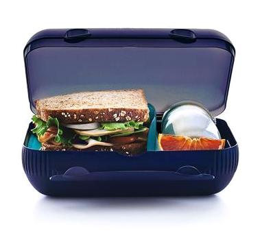 Tupperware Evet 1 Parça Dikdörtgen Plastik Saklama Kabı