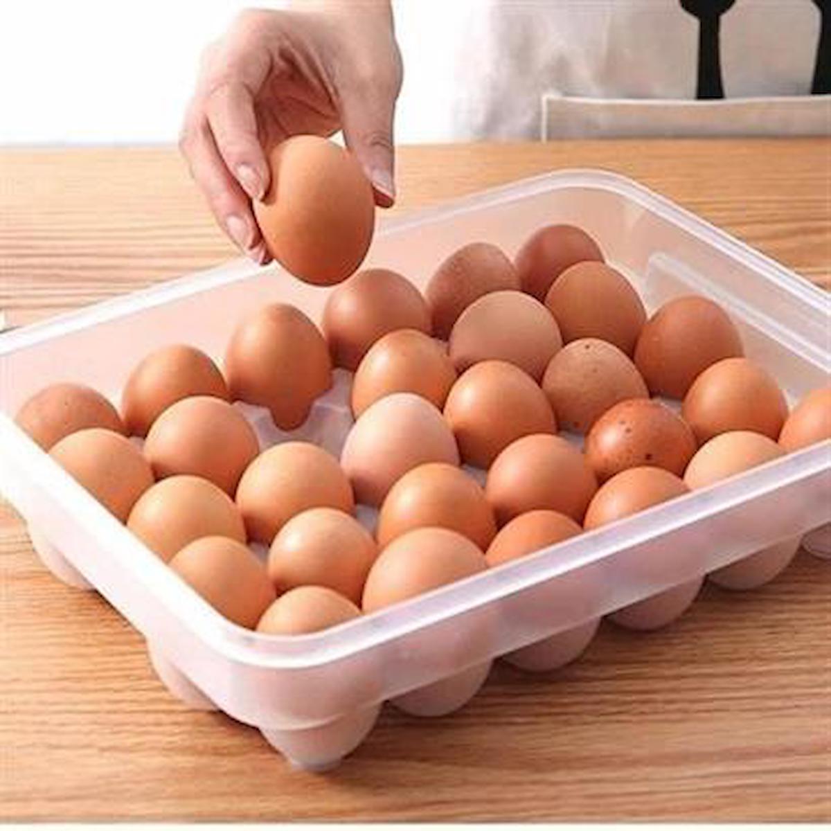 Marydien 1 Parça Kare Plastik Saklama Kabı